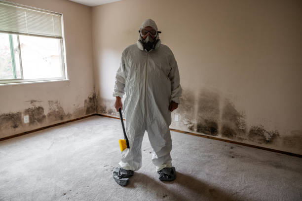 Best Biohazard Mold Removal  in Merriam Woods, MO